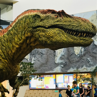 Dinosaur at the New Mexico Museum of Natural History and Science