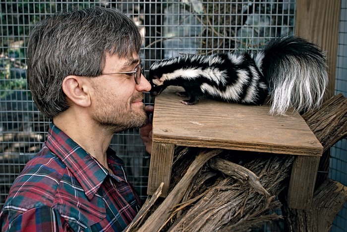 Dr. Jerry Dragoo is nose to nose with a striped skunk, smiling. 