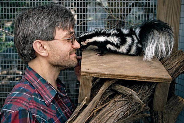 Dr. Jerry Dragoo nose to nose with a skunk.