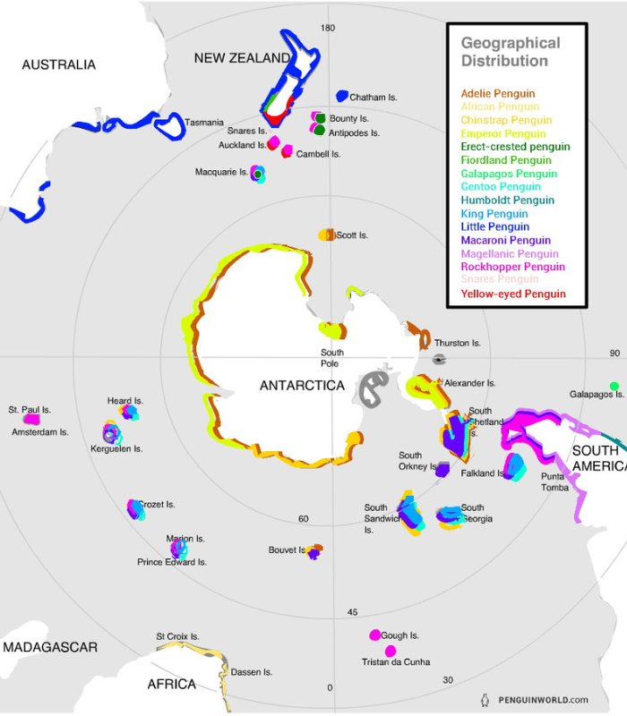 Map Penguin Distribution